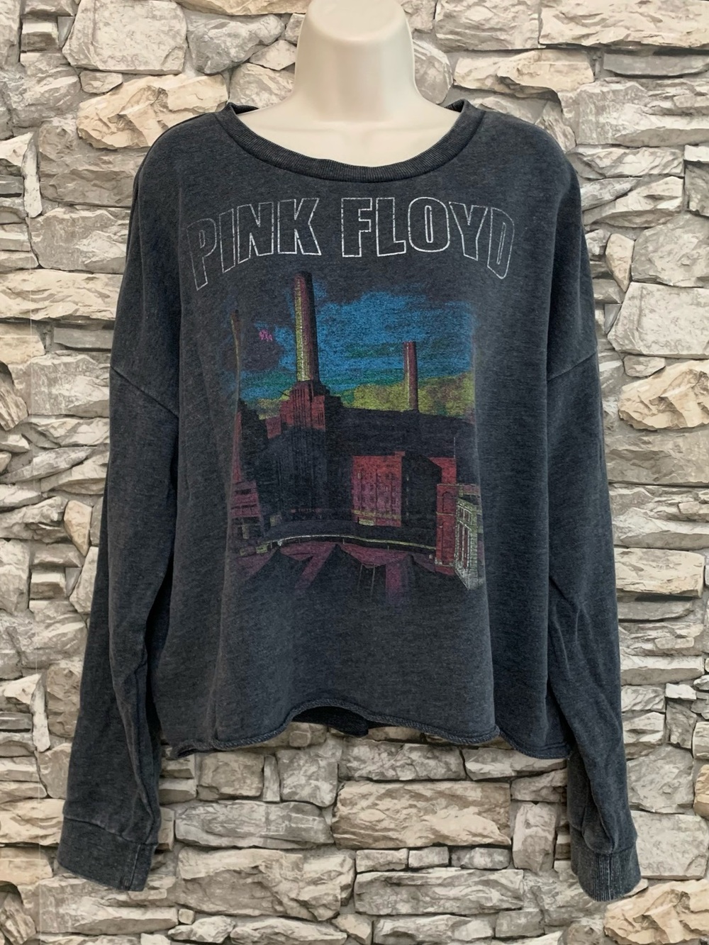 #13 Rock Junk Food Pink Floyd Animal Album Retro Vintage Crop Sweatshirt Top XXL